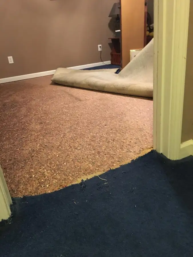 Carpet pad removal revealing water damage during Water Mitigation Services in Knightdale